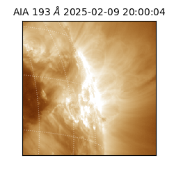 saia - 2025-02-09T20:00:04.843000