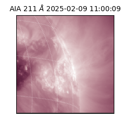 saia - 2025-02-09T11:00:09.626000