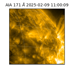 saia - 2025-02-09T11:00:09.350000