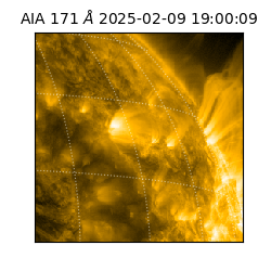 saia - 2025-02-09T19:00:09.350000