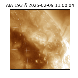 saia - 2025-02-09T11:00:04.843000