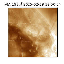 saia - 2025-02-09T12:00:04.843000