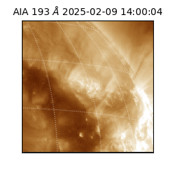 saia - 2025-02-09T14:00:04.843000