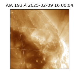 saia - 2025-02-09T16:00:04.843000