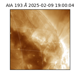 saia - 2025-02-09T19:00:04.843000