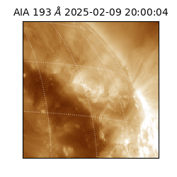saia - 2025-02-09T20:00:04.843000