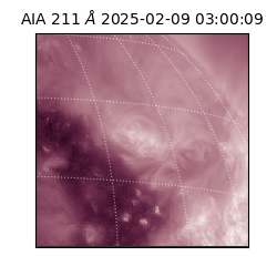 saia - 2025-02-09T03:00:09.626000