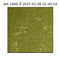 saia - 2025-02-09T01:00:14.129000