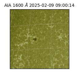 saia - 2025-02-09T09:00:14.129000