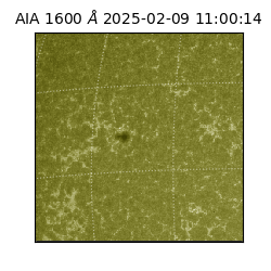 saia - 2025-02-09T11:00:14.126000