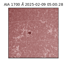 saia - 2025-02-09T05:00:28.721000