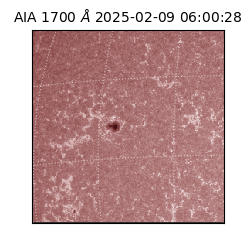 saia - 2025-02-09T06:00:28.721000