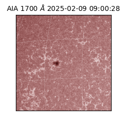 saia - 2025-02-09T09:00:28.717000