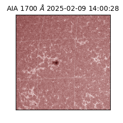 saia - 2025-02-09T14:00:28.719000