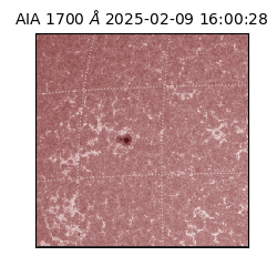 saia - 2025-02-09T16:00:28.717000