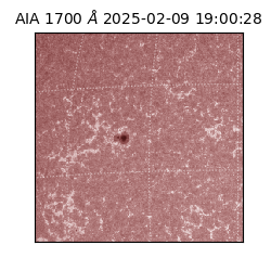 saia - 2025-02-09T19:00:28.718000