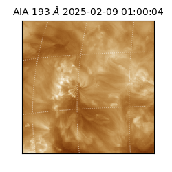 saia - 2025-02-09T01:00:04.843000