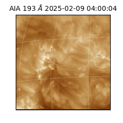 saia - 2025-02-09T04:00:04.843000