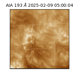 saia - 2025-02-09T05:00:04.843000