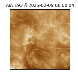 saia - 2025-02-09T06:00:04.843000