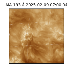 saia - 2025-02-09T07:00:04.843000