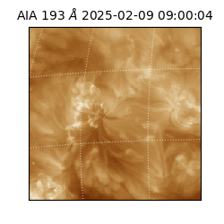 saia - 2025-02-09T09:00:04.847000