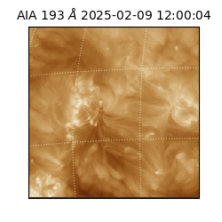 saia - 2025-02-09T12:00:04.843000