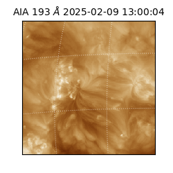 saia - 2025-02-09T13:00:04.843000