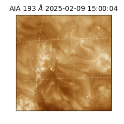 saia - 2025-02-09T15:00:04.843000