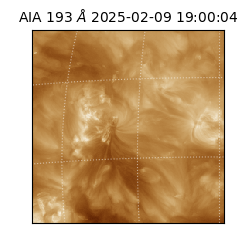 saia - 2025-02-09T19:00:04.843000