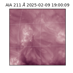 saia - 2025-02-09T19:00:09.629000