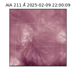 saia - 2025-02-09T22:00:09.626000