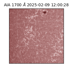 saia - 2025-02-09T12:00:28.710000