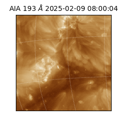 saia - 2025-02-09T08:00:04.835000