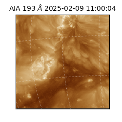 saia - 2025-02-09T11:00:04.843000