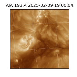 saia - 2025-02-09T19:00:04.843000