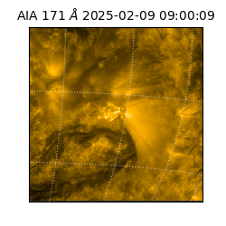 saia - 2025-02-09T09:00:09.350000