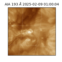 saia - 2025-02-09T01:00:04.843000