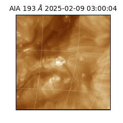 saia - 2025-02-09T03:00:04.843000