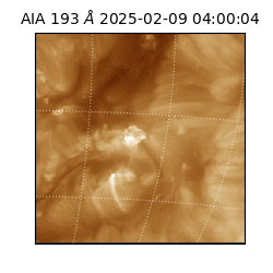 saia - 2025-02-09T04:00:04.843000