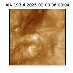 saia - 2025-02-09T06:00:04.843000