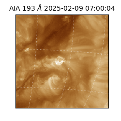 saia - 2025-02-09T07:00:04.843000