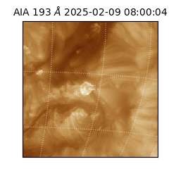 saia - 2025-02-09T08:00:04.835000