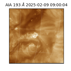 saia - 2025-02-09T09:00:04.847000