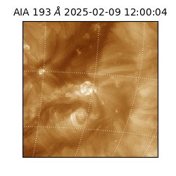 saia - 2025-02-09T12:00:04.843000