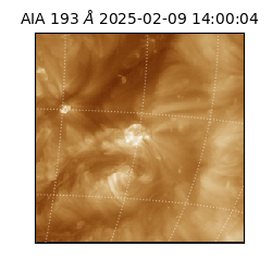 saia - 2025-02-09T14:00:04.843000