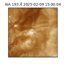 saia - 2025-02-09T15:00:04.843000