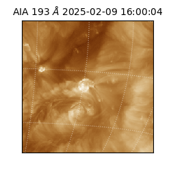 saia - 2025-02-09T16:00:04.843000