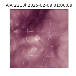 saia - 2025-02-09T01:00:09.629000