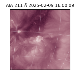 saia - 2025-02-09T16:00:09.630000